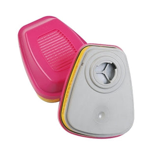 Combination Cartridges/P100 Particulate Filter, Acid Gas/Org Vapor