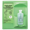 Eyewash Wall Station, 16 oz, Single Bottle