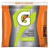 G Series 02 Perform® Thirst Quencher Instant Powder, 21 oz, Pouch, 2.5 gal Yield, Lemon-Lime