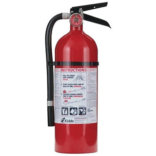 PRO 210 Consumer Fire Extinguisher, Type A, B, C, 4 lb